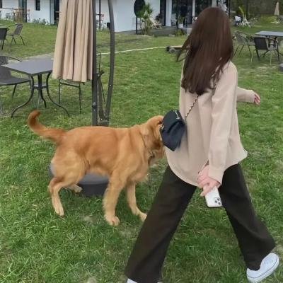 犯罪生涯